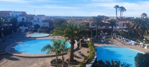 圣巴托洛梅Casa Armonía del sol的享有两个棕榈树泳池和建筑的顶部景色