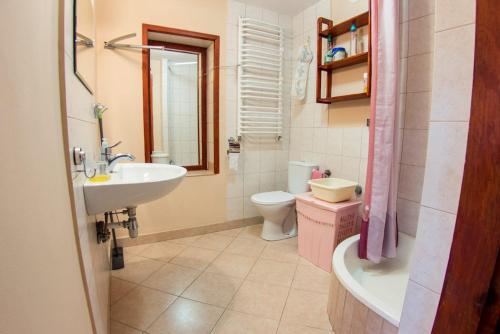 谢拉兹noclegi pokoje gościnne kwatery pracownicze Dobranocka的一间带水槽和卫生间的浴室