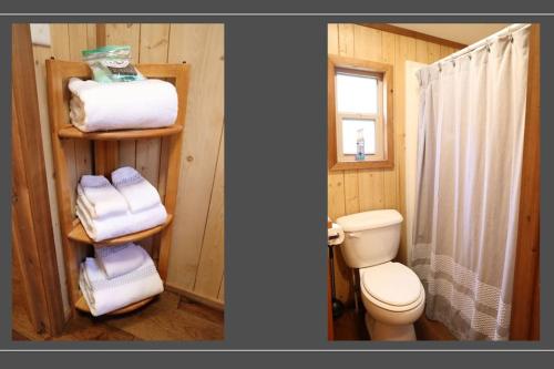 SteinhatcheeDriftwood Cabin - 2nd Street的浴室两张照片,带卫生间和毛巾