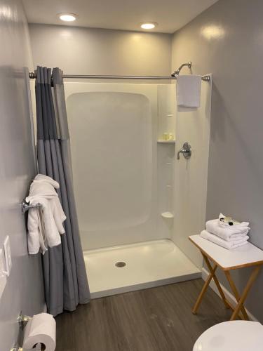 米斯蒂克泰伯酒店的带淋浴和浴帘的浴室