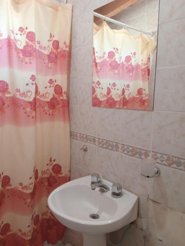 马拉圭El Pasaje的一间带水槽和淋浴帘的浴室