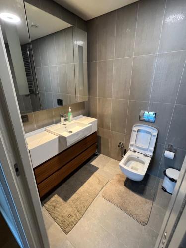 伊斯坦布尔Skyland的一间带卫生间、水槽和镜子的浴室