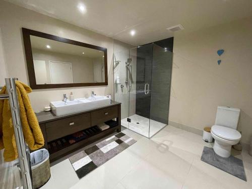 图图卡卡Matapouri & Tutukaka Spectacular Coastal Views- Aroha Luxury Guest Suite的浴室配有卫生间、盥洗盆和淋浴。