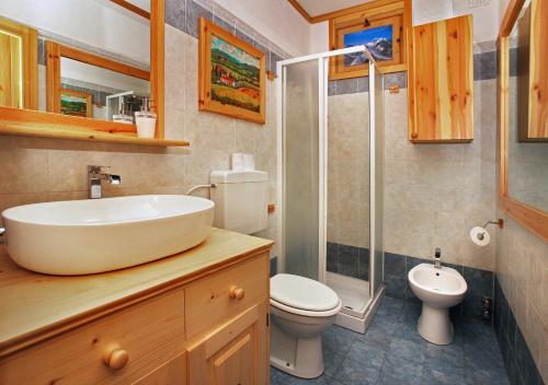 萨奥兹-杜尔克斯Salone House的一间带水槽、卫生间和淋浴的浴室