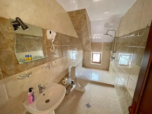 古多里Gudauri Hillsite的一间带水槽、卫生间和淋浴的浴室