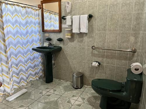 福尔图纳别墅维尔马酒店的浴室配有绿色卫生间和水槽。