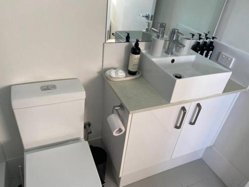珀斯Smart Modern Close City/Airport WIFI/Park/Netflix的白色的浴室设有水槽和镜子