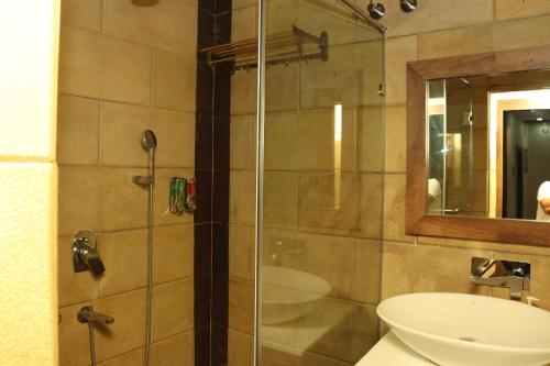 MadhupurThe Stoneberry Resort的带淋浴、盥洗盆和镜子的浴室