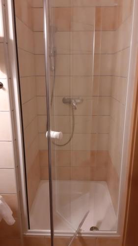 佐洛卡罗斯MELODY APARTMAN的浴室里设有玻璃门淋浴