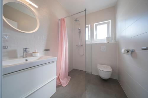 BriševoVilla Dreams的一间带水槽、卫生间和镜子的浴室