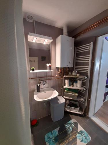 弗尔沙茨Apartman Lela的一间带水槽和镜子的浴室