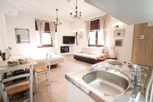卢布尔雅那卡特卡酒店的厨房以及带水槽和沙发的客厅。