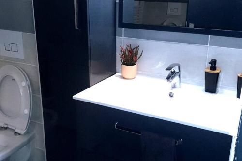 蒙特利马尔COSY CLIM CENTRE VILLE的一间带水槽、卫生间和镜子的浴室