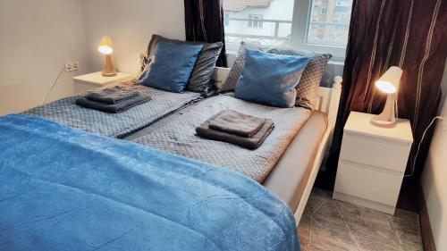 索非亚Cozy Spot by the Lions' Bridge的一间卧室配有两张带蓝色床单和枕头的床。