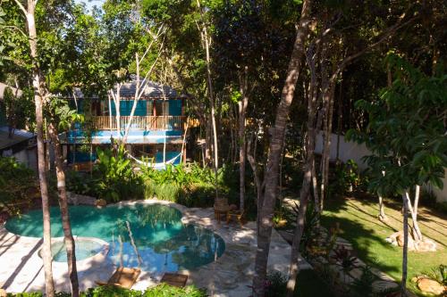 阿拉亚尔达茹达Vila Marina的树木繁茂的庭院中的一个游泳池