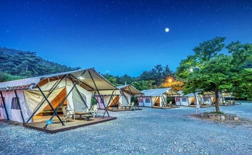 泰安Club Lespia in Taean的一群帐篷在晚上在田野里