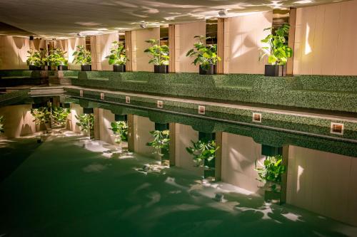 锡比乌Hermanns Hotel & Spa Sibiu的一座种植了植物的游泳池