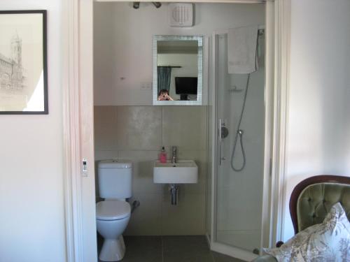 奥尔巴尼三个烟囱住宿加早餐旅馆的浴室配有卫生间、盥洗盆和淋浴。