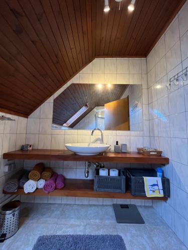萨格勒布Cozzy apartment in nature的一间带水槽和镜子的浴室