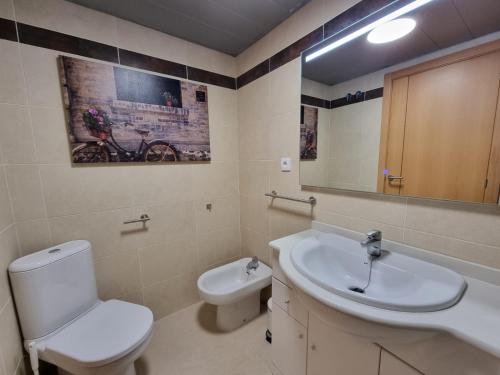 加鲁查Apartamento Luz del Mediterraneo Garrucha的一间带卫生间、水槽和镜子的浴室