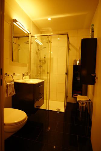 豪尔根Esther's Homestay - Big Room - 26 Square Meters的带淋浴、盥洗盆和卫生间的浴室