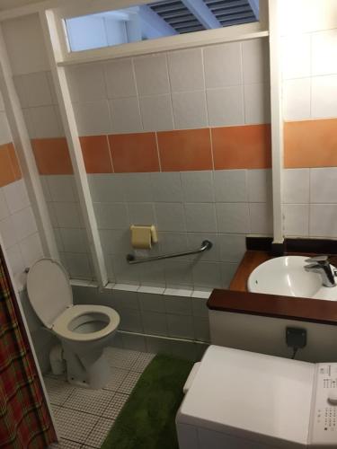 法兰西堡LOFT ET VERDURE的一间带卫生间和水槽的浴室