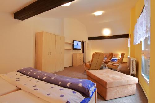 奥斯特鲁兹纳仙女座酒店的带沙发和电视的客厅以及1间房间
