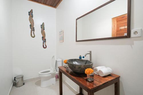 沙努尔Villa Felise的一间带水槽、卫生间和镜子的浴室