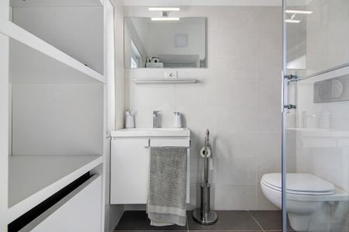 皮亚内洛德拉廖Casa sul Lago di Como的白色的浴室设有卫生间和水槽。