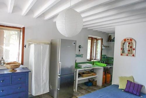 NerežišćeA small stone house by the sea, in a wineyard的厨房配有冰箱和蓝色橱柜。