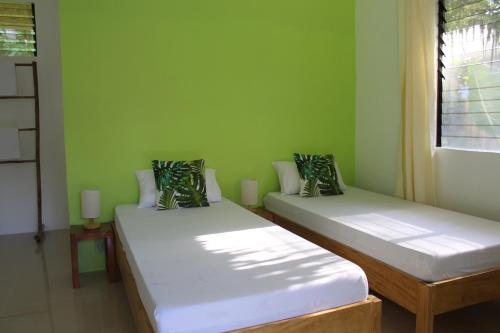 曼巴豪Happy Coconut Camiguin的配有两张床的客房,设有绿色的墙壁和窗户