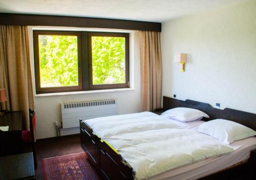 马尔梅迪Hôtel Grand-Champ的一间卧室设有一张大床和窗户