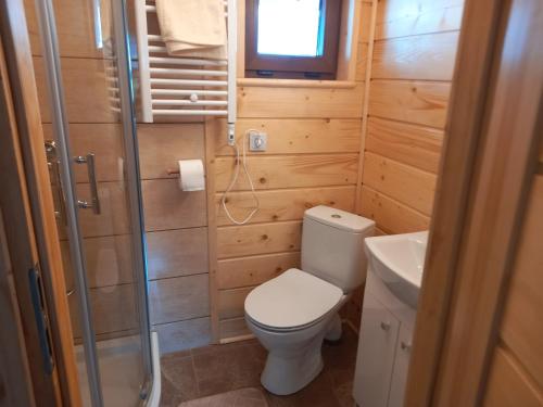 利波瓦Domek Bacówka Pod Lipą的一间带卫生间和水槽的小浴室