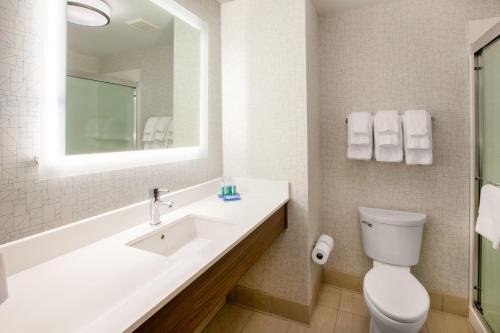 德尔里奥Holiday Inn Express & Suites Del Rio, an IHG Hotel的一间带水槽、卫生间和镜子的浴室