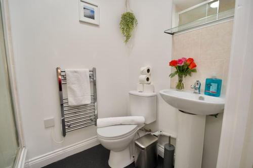 考文垂Swan Studio Five - Coventry的白色的浴室设有卫生间和水槽。