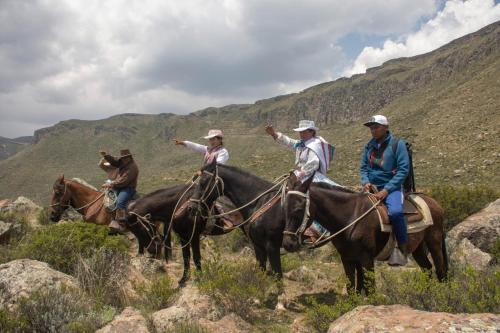 CoporaqueLodge Mirador San Antonio- Colca的一群在山里骑马的人