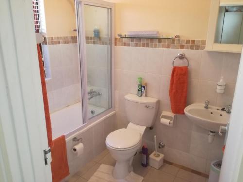 开普敦Captain's Sea Cabin的浴室配有卫生间、淋浴和盥洗盆。