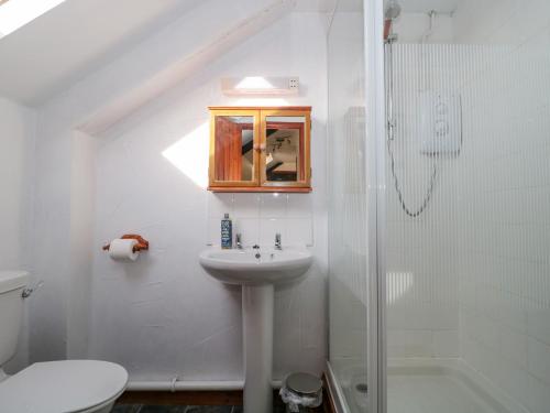 布里德波特The Old Dairy的白色的浴室设有水槽和淋浴。
