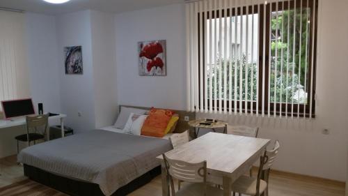 桑丹斯基Парк Апартаменти Юлия的一间卧室配有一张床、一张桌子和一个窗户。