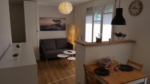 皮尔纳Ferienwohnung Gottleubapark Apartment的厨房以及带桌子和沙发的客厅。