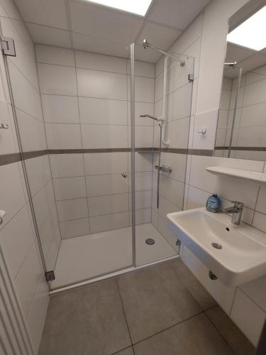 博尔库姆CVJM Freizeithaus MS Waterdelle的带淋浴和盥洗盆的浴室