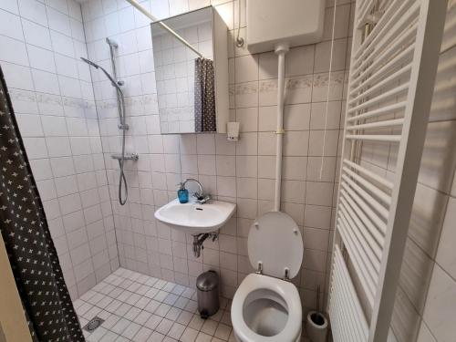 德科赫Zilt Zand的一间带卫生间和水槽的小浴室