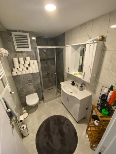 伊斯坦布尔Private Room in Istanbul #38的带淋浴、卫生间和盥洗盆的浴室
