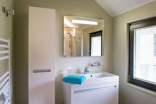 弗罗夏佩勒Villa 2 chambres au bord du lac de l'Eau d'Heure的一间带水槽和镜子的浴室