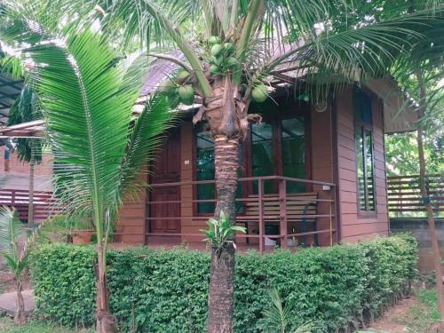南府เฮือนริมน่าน Huen Rim Nan的房屋前的棕榈树