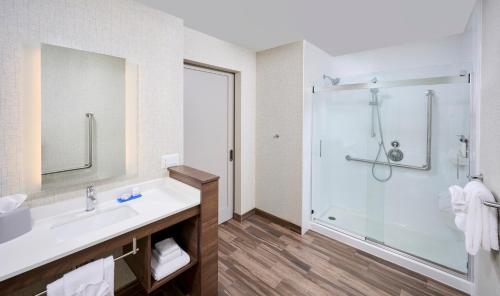布兰特福德Holiday Inn Express & Suites - Brantford, an IHG Hotel的一间带水槽和淋浴的浴室