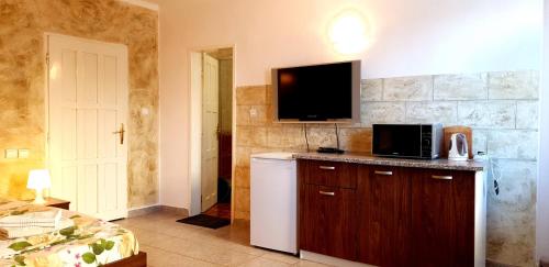 索非亚安德罗公寓的一间设有冰箱和墙上电视的客房
