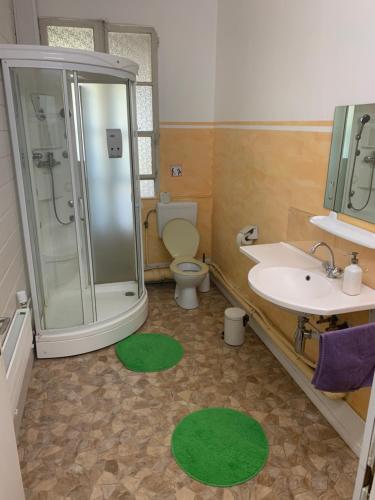Münchenbuchsee思查博瑞尼旅馆的带淋浴、卫生间和盥洗盆的浴室