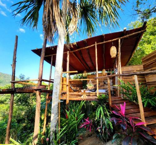 埃尔扎伊诺The Valley Tayrona hostel- A unique social jungle hostel的一个带吊床树屋的度假村