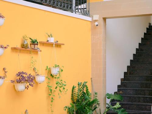 头顿Anh Truc House - Near Front Beach的黄色的墙,有盆栽植物和楼梯